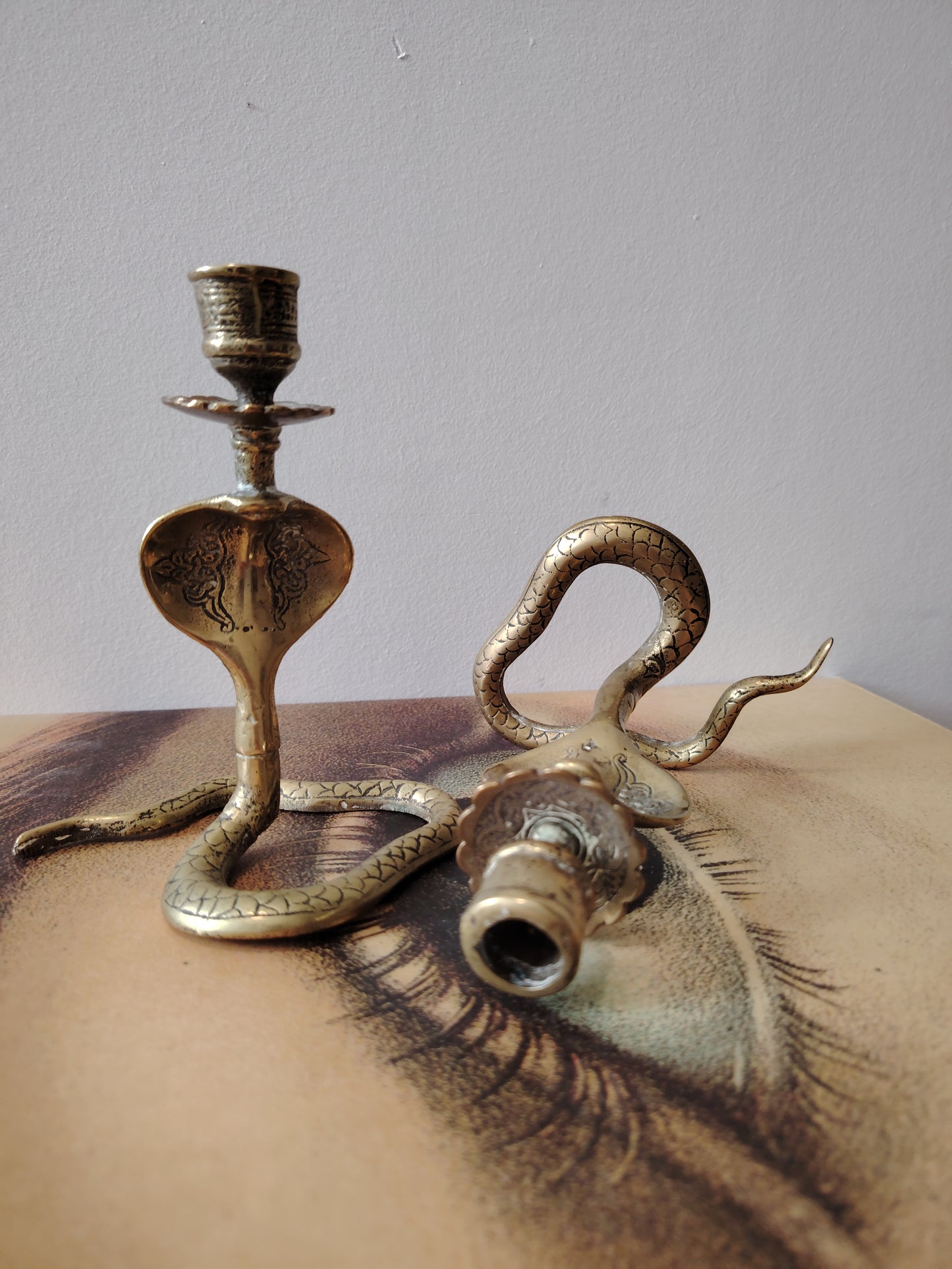 Pair of Solid Brass Python Candle Holders