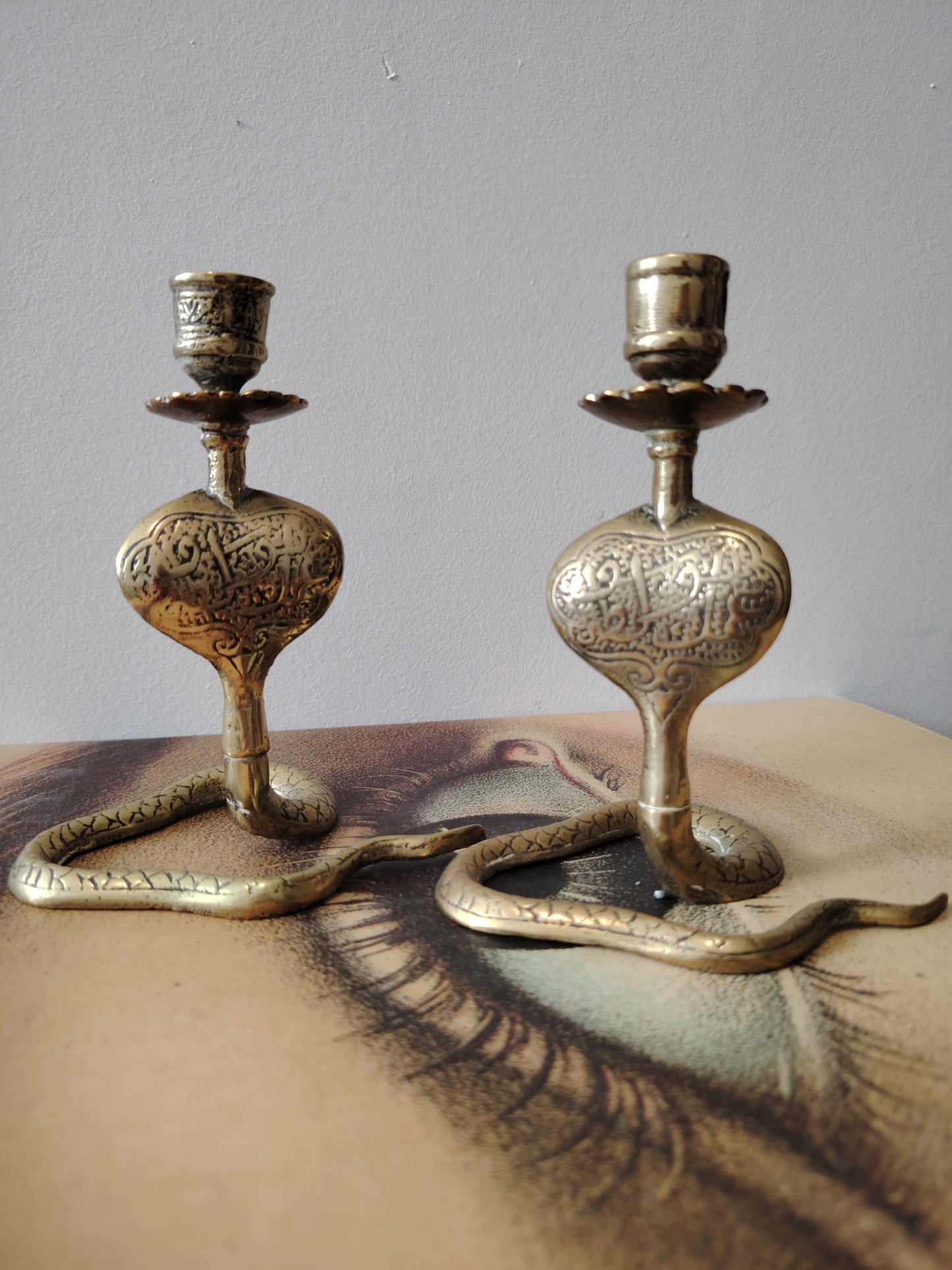Pair of Solid Brass Python Candle Holders
