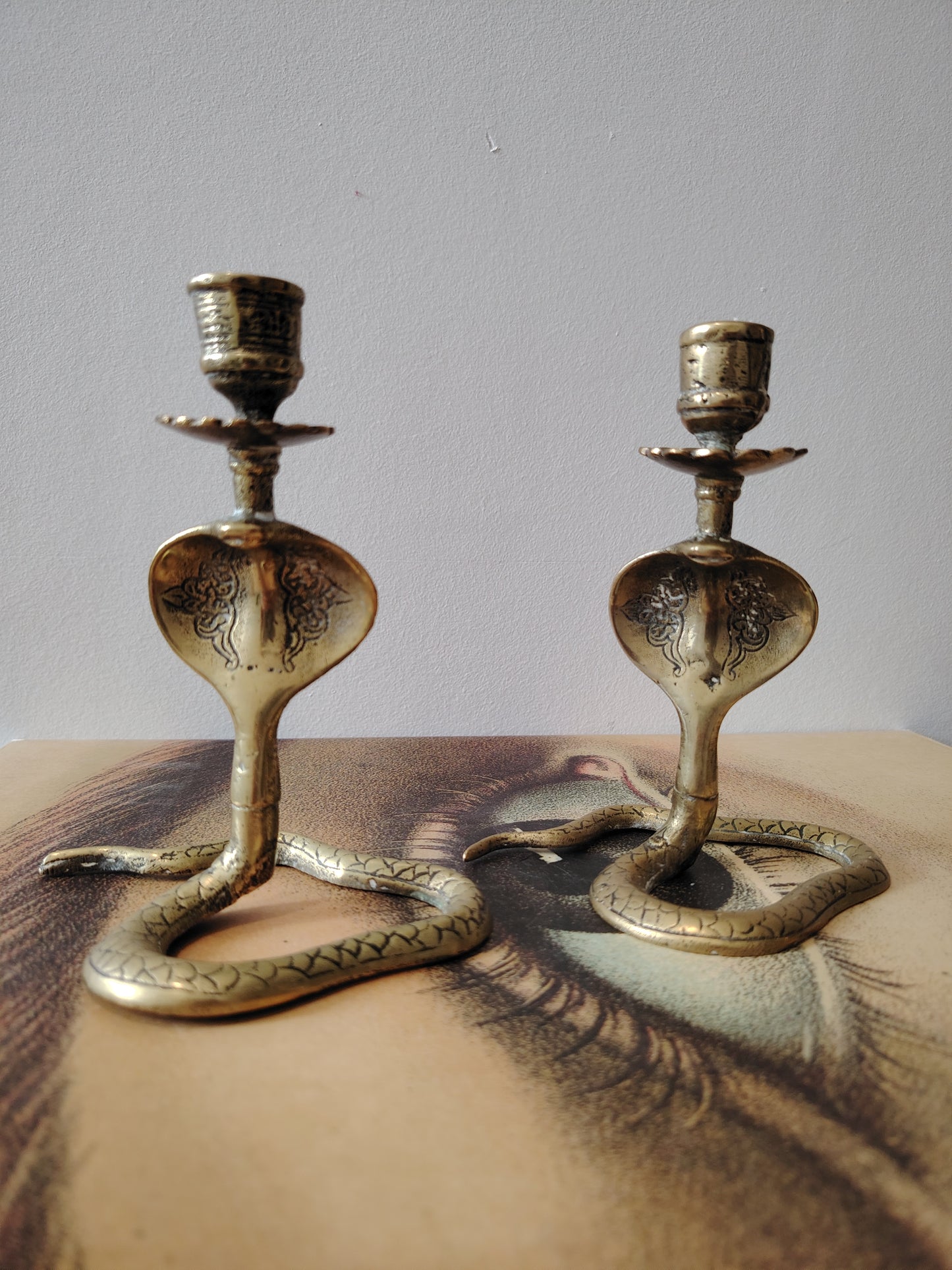 Pair of Solid Brass Python Candle Holders
