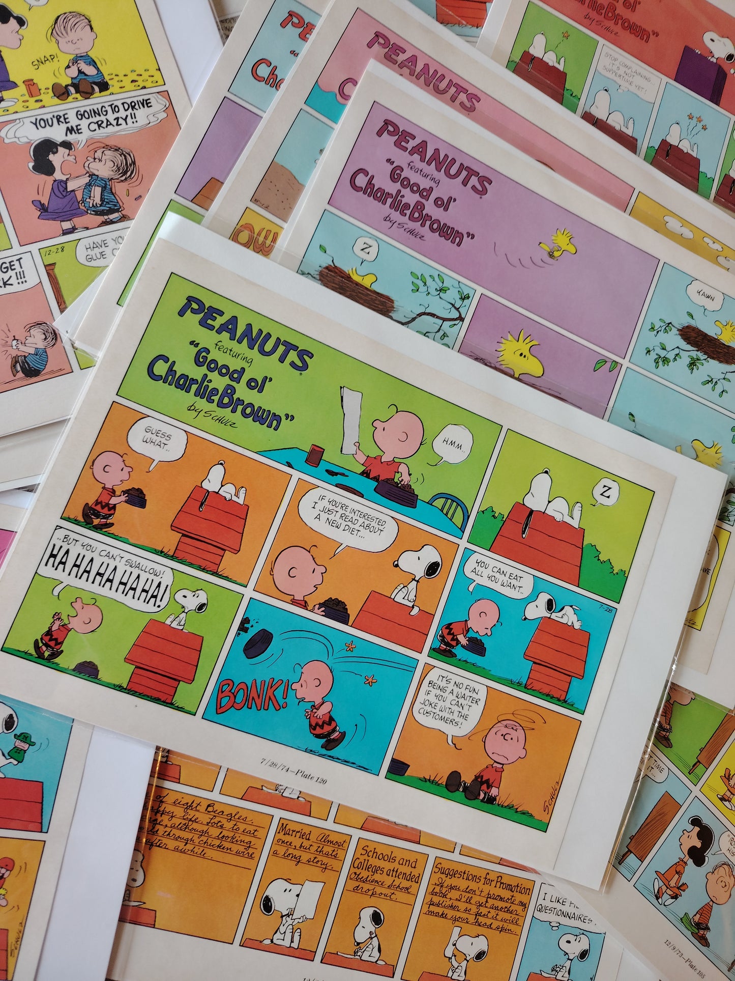 Vintage Snoopy Comic Strip Page x1