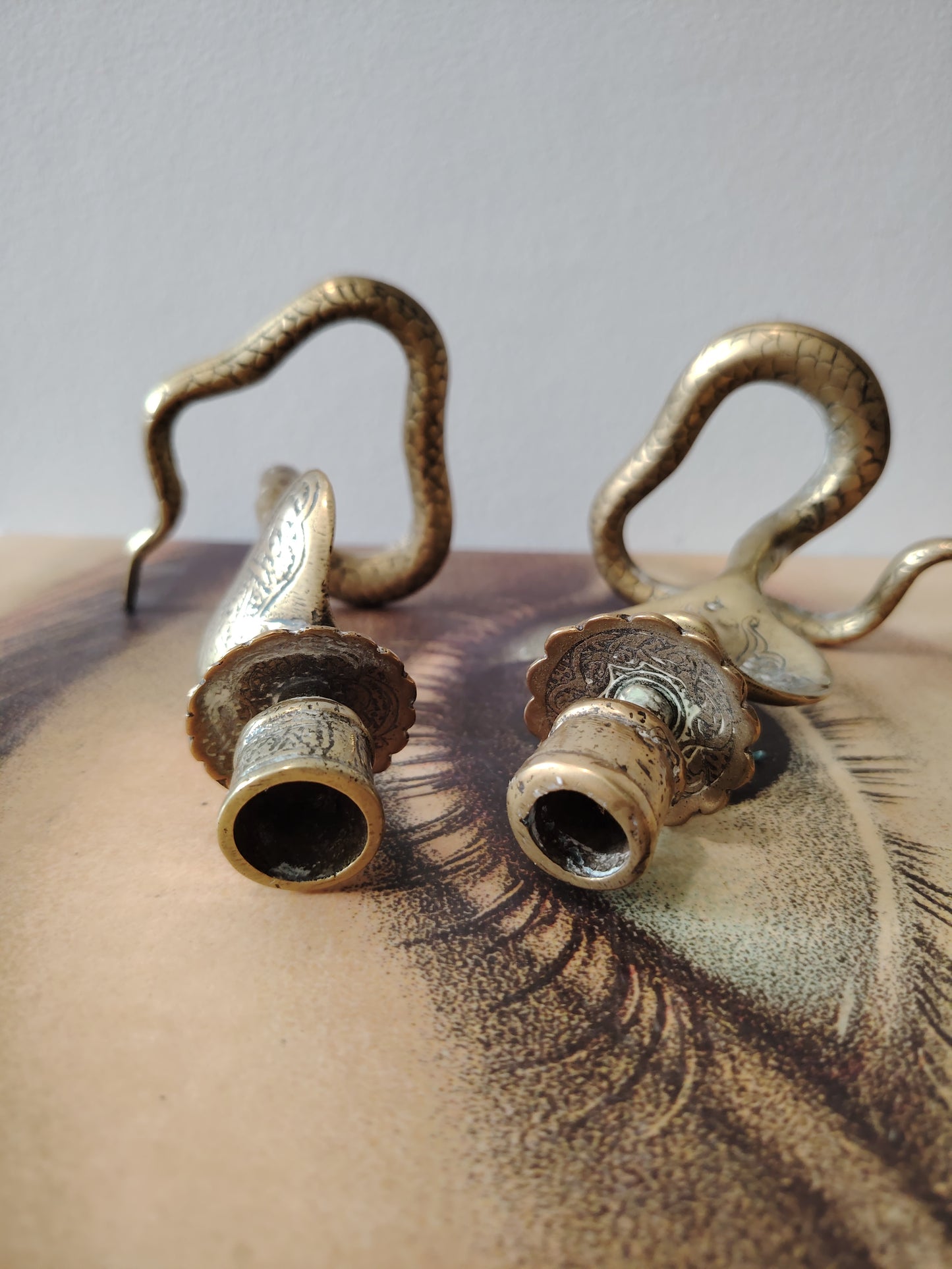 Pair of Solid Brass Python Candle Holders