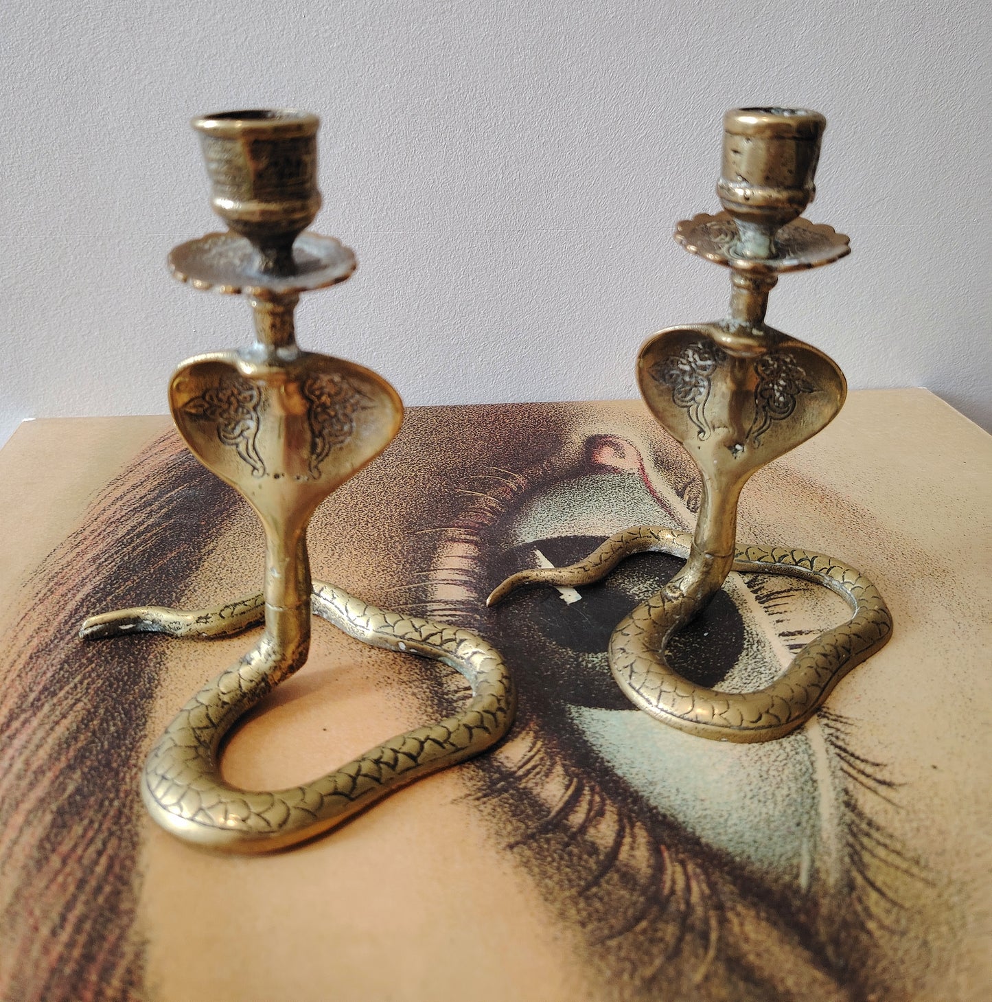 Pair of Solid Brass Python Candle Holders