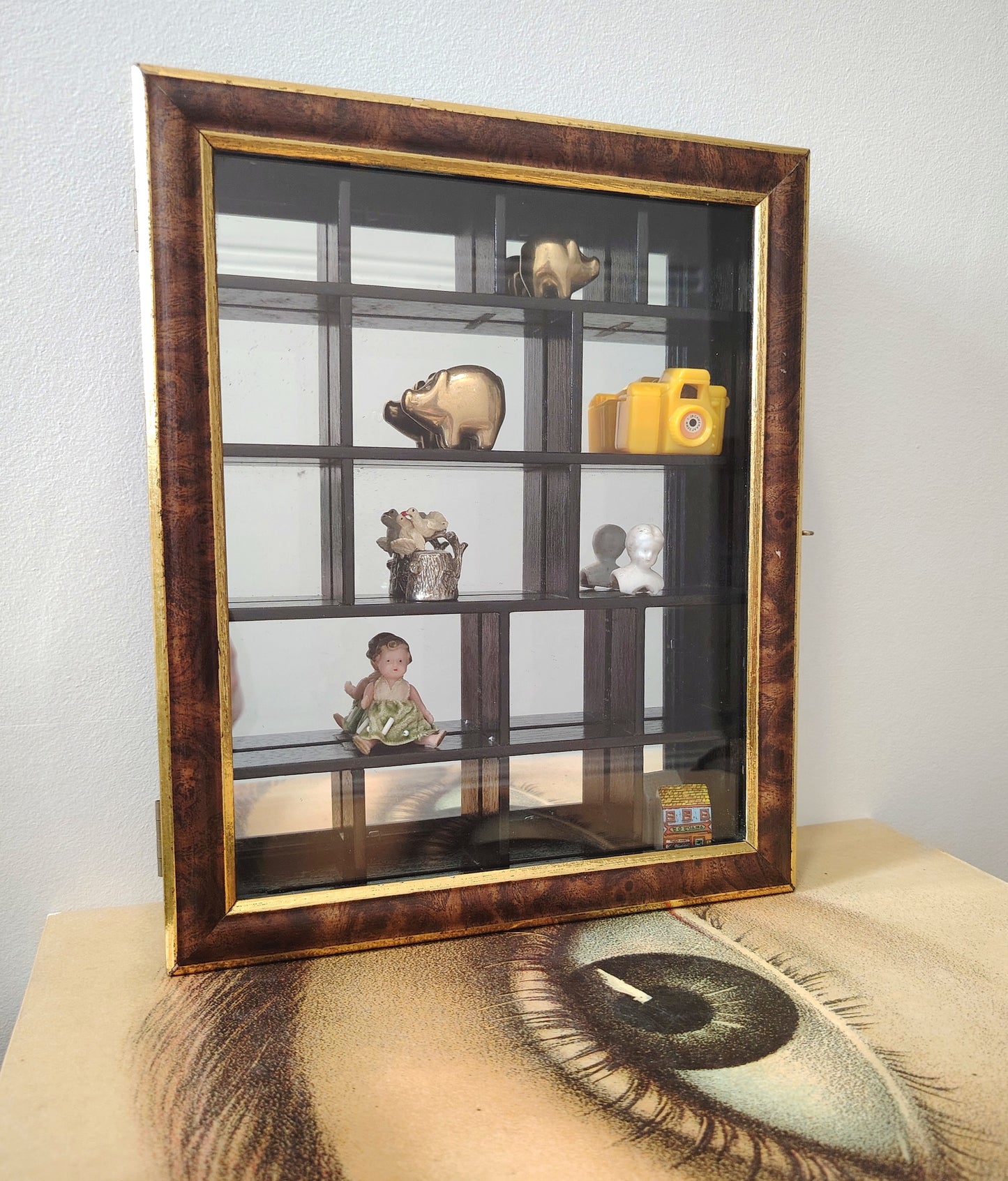Glass Fronted Curiosity Cabinet