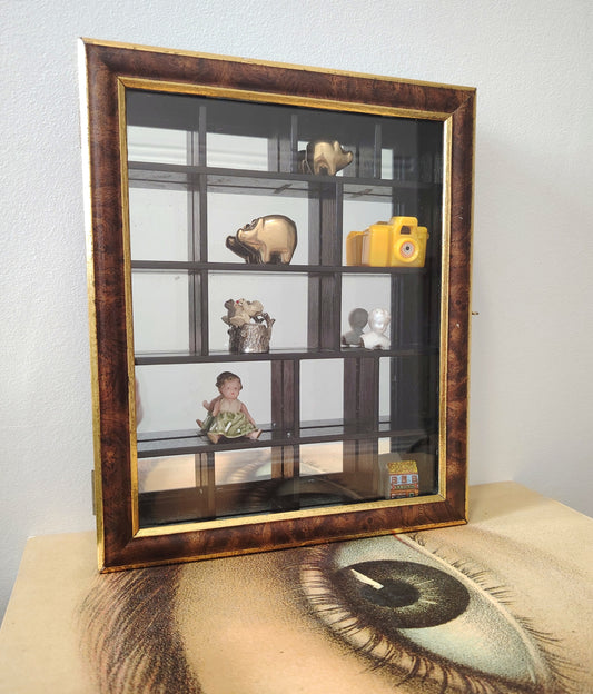 Glass Fronted Curiosity Cabinet