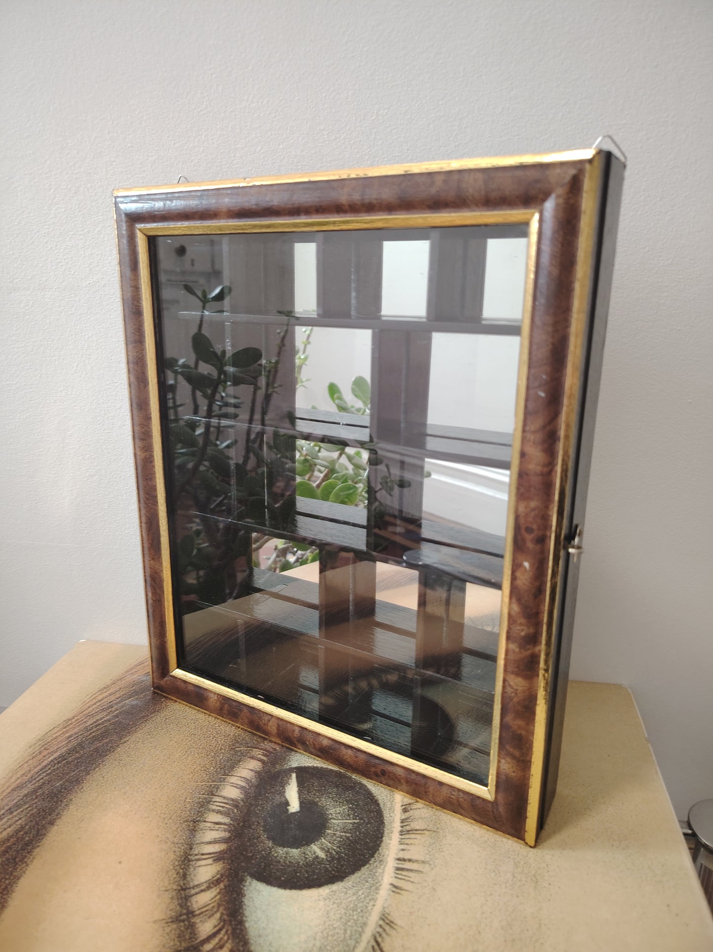 Glass Fronted Curiosity Cabinet