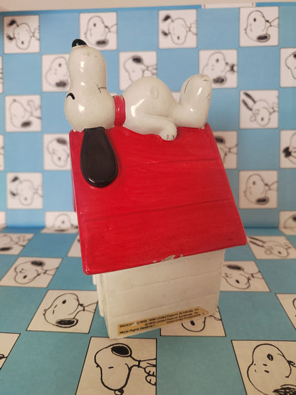 Vintage Snoopy on his Kennel Money Box