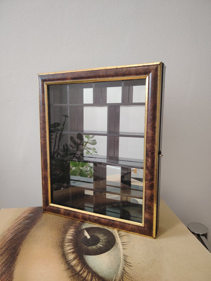 Glass Fronted Curiosity Cabinet