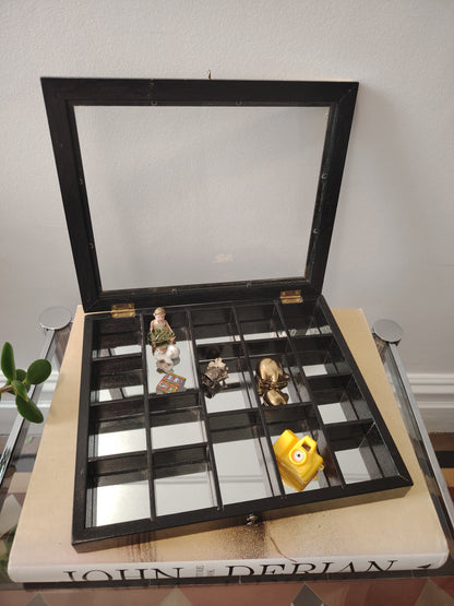 Glass Fronted Curiosity Cabinet