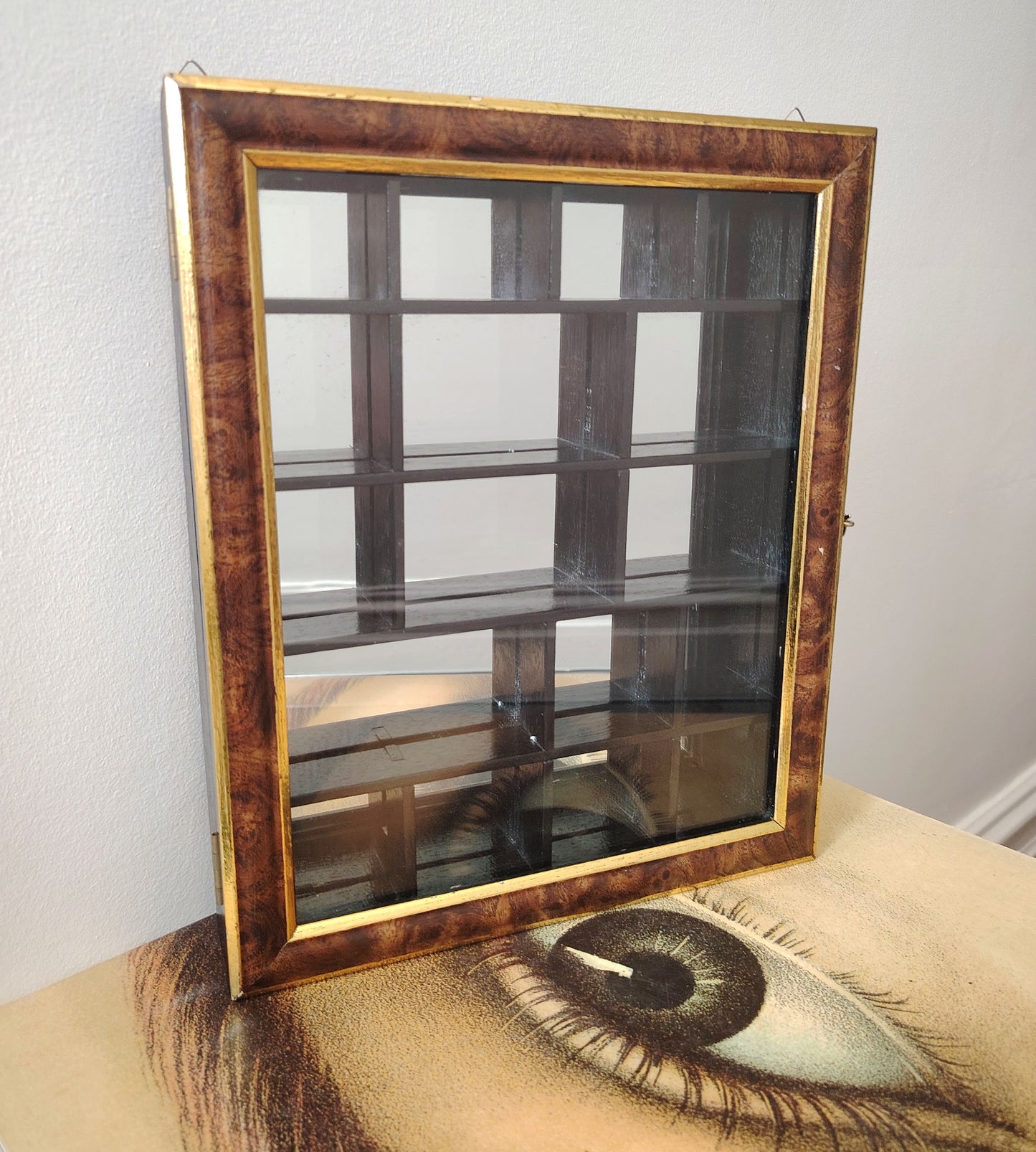 Glass Fronted Curiosity Cabinet