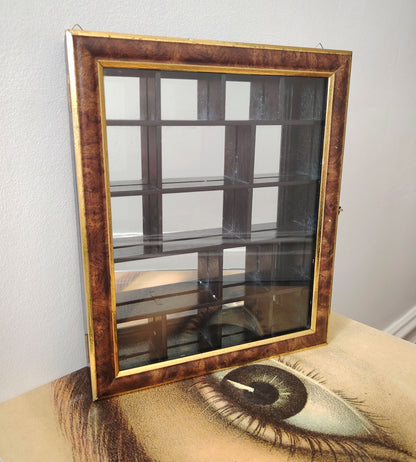 Glass Fronted Curiosity Cabinet