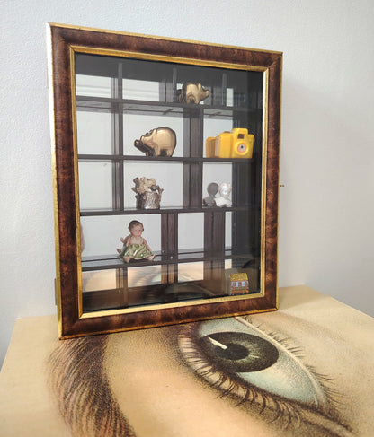 Glass Fronted Curiosity Cabinet