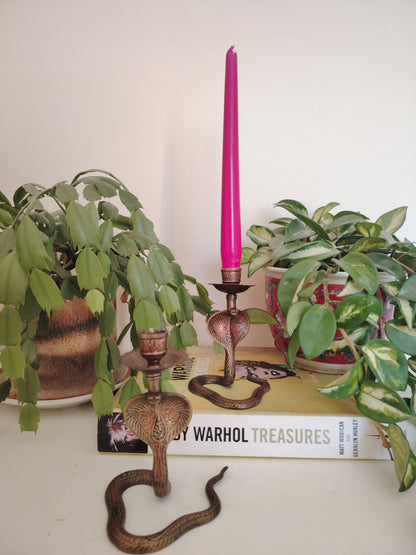 Pair of Solid Brass Python Candle Holders