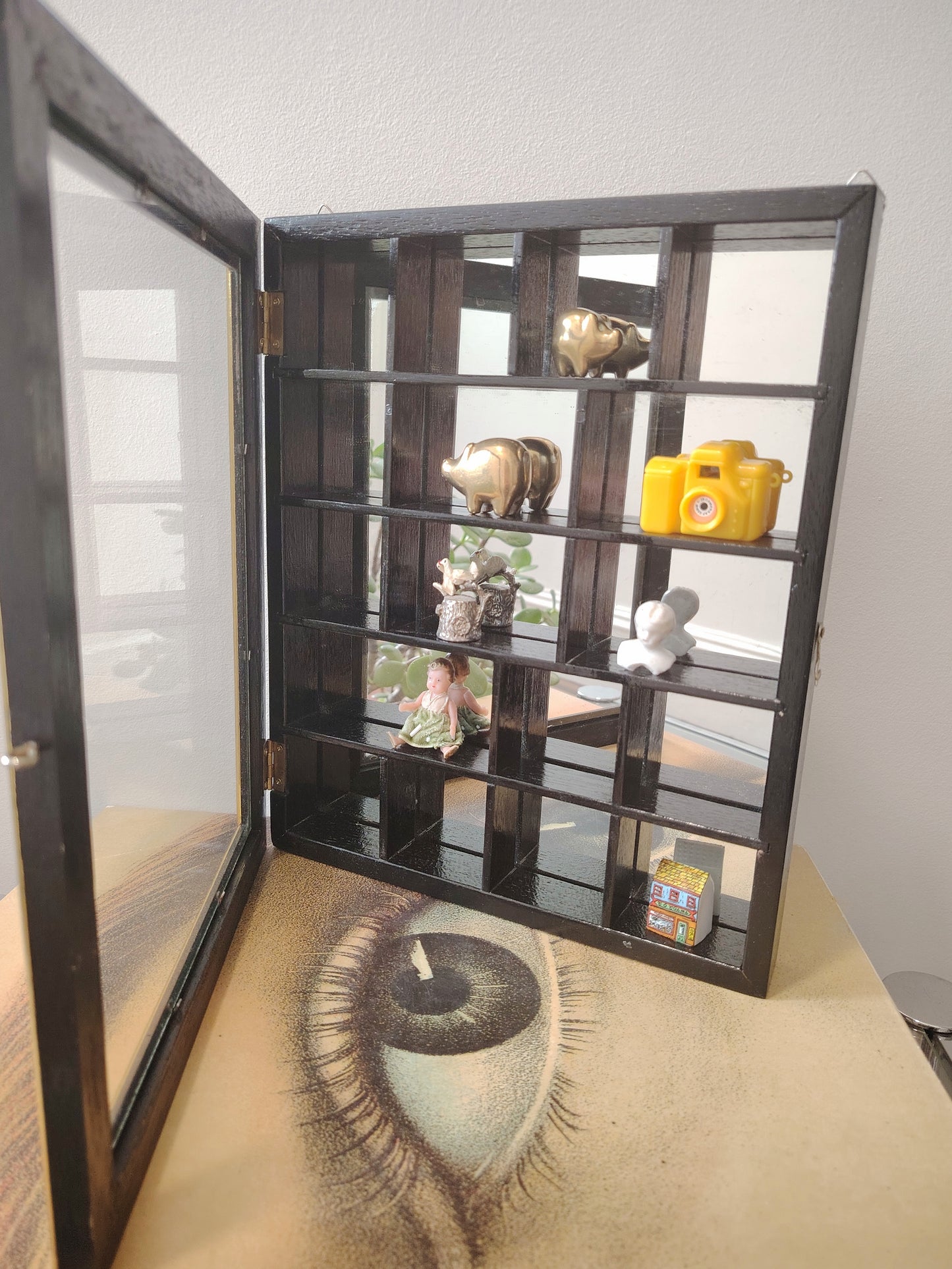 Glass Fronted Curiosity Cabinet