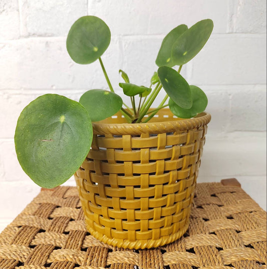 Vintage Plastic Woven Basket Planter/ Plant Pot